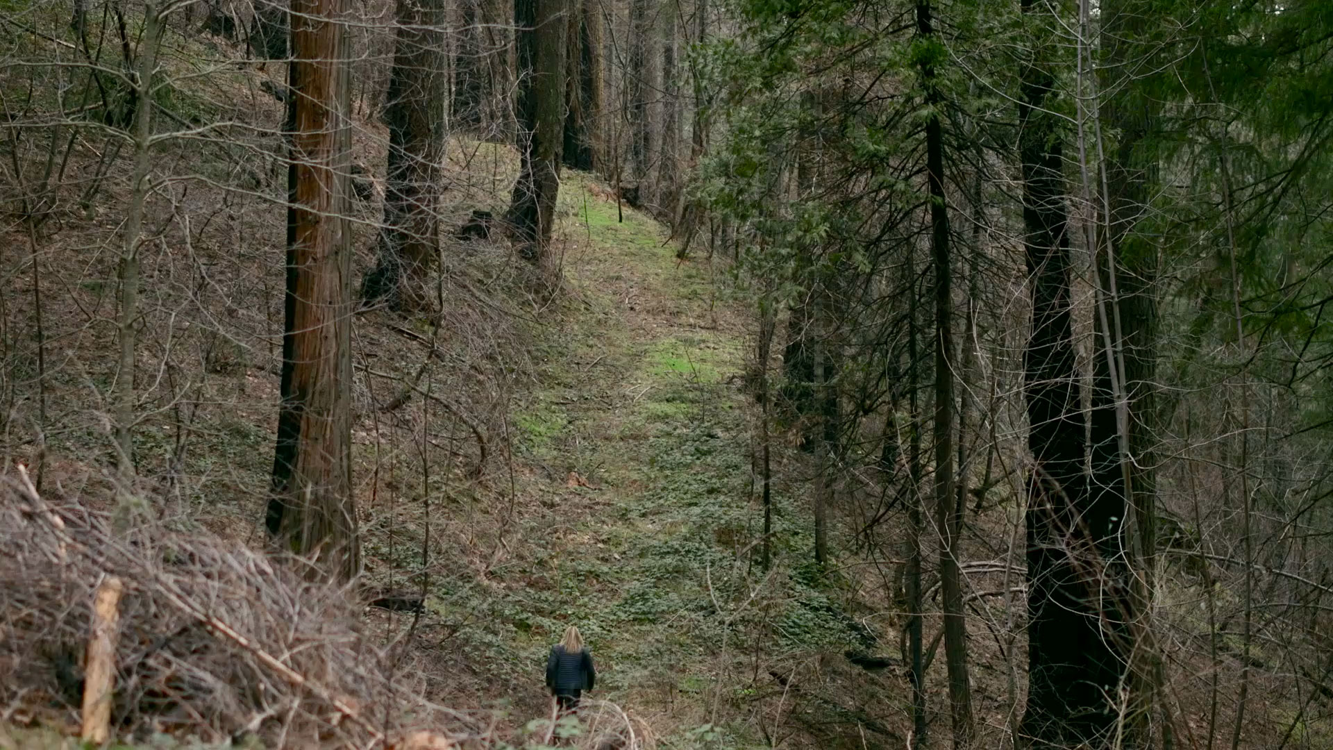 One Glaring Tree Boy Xxx - Out Here, No One Can Hear You Scream - The Huffington Post